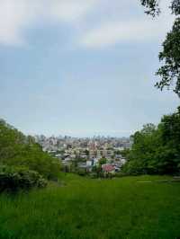 해외여행 삿포로 조망 좋은 旭山記念公園