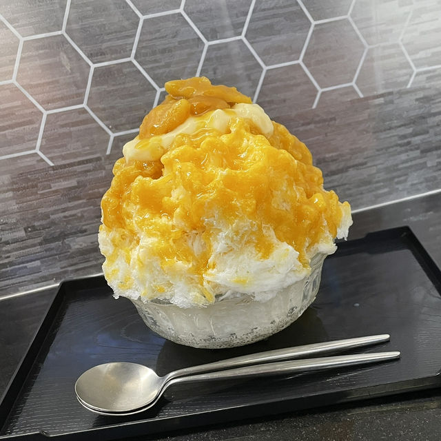 【東京/新宿🇯🇵】ビジネスホテル内にあるかき氷屋さん🍧noel