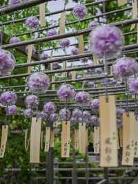 【京都/宇治】風鈴飾りが話題のお寺、正寿院🎐 