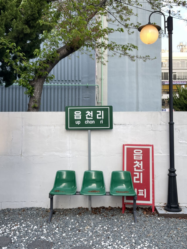 제주 감성을 그대로 담은 도심 속 한옥카페 읍천리382