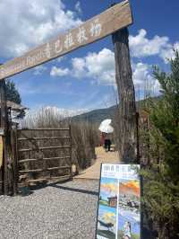 Discovering Lijiang – A Journey of Nature, Culture, and Unexpected Thrills