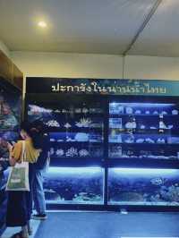 มิวเซียมหาดใหญ่ 