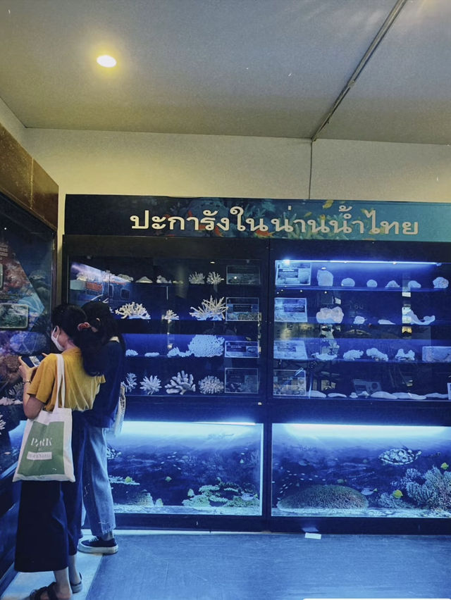 มิวเซียมหาดใหญ่ 