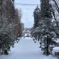 눈꽃 낭만 가득! 오타루 겨울여행 계획❄️☃️