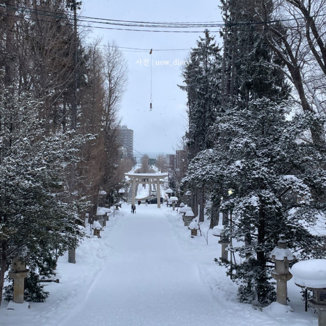 눈꽃 낭만 가득! 오타루 겨울여행 계획❄️☃️