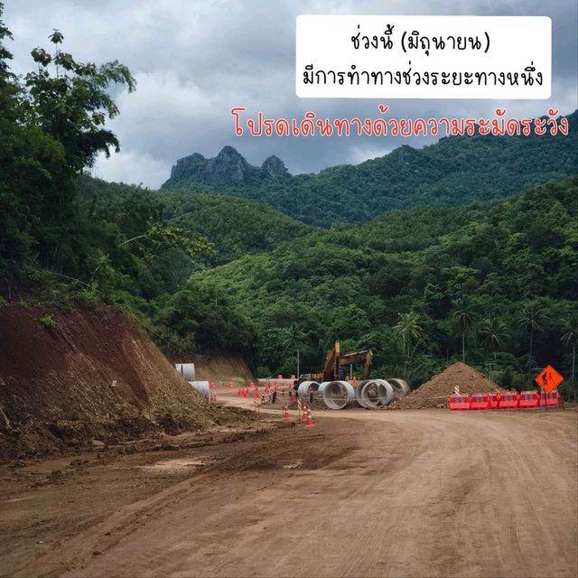 ถ่ายรูปสะพานไม้ไผ่วิวทุ่งนา กับ วัดนาคูหา📍แพร่ 