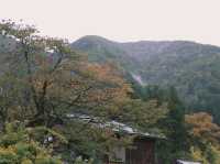 วันเดย์ทริปที่ชิราคาวาโกะ (Shirakawa-go)