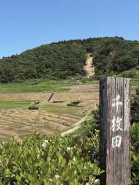 海に続く棚田の絶景🌾白米千枚田で心ほどける自然旅
