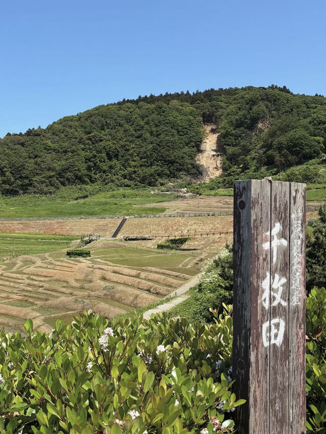 海に続く棚田の絶景🌾白米千枚田で心ほどける自然旅