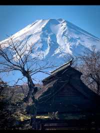 【富士五湖で絶景と癒しの湖旅】富士山を望む五つの宝石🌄💎