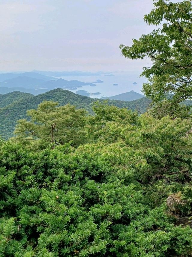 작은 산속 탐험