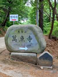 가족과 함께 걷는 기암의 산책길