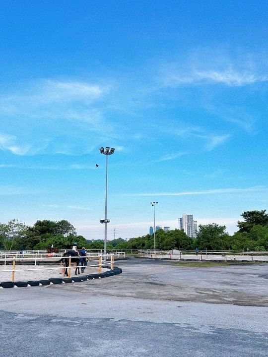 Gallop Into Serenity: Discover the Magic of 3S Equestrian Cyberjaya 🐎🌿