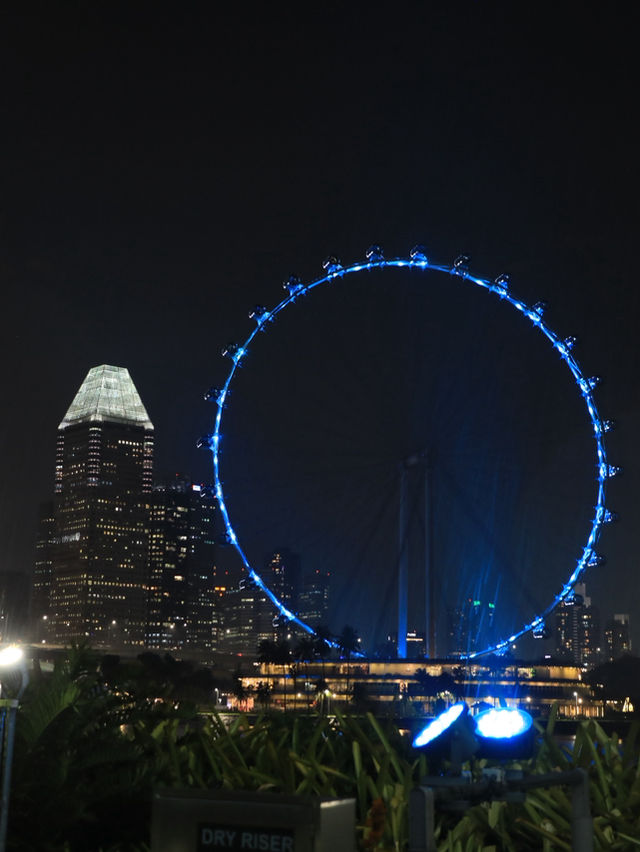 【シンガポール🇸🇬】王道エリアで過ごす夜🤍