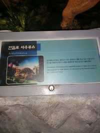 카메라 들고 떠나는 풍경 사진 명소