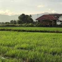 cozy and rustic accommodation that blends natural charm with a peaceful atmosphere