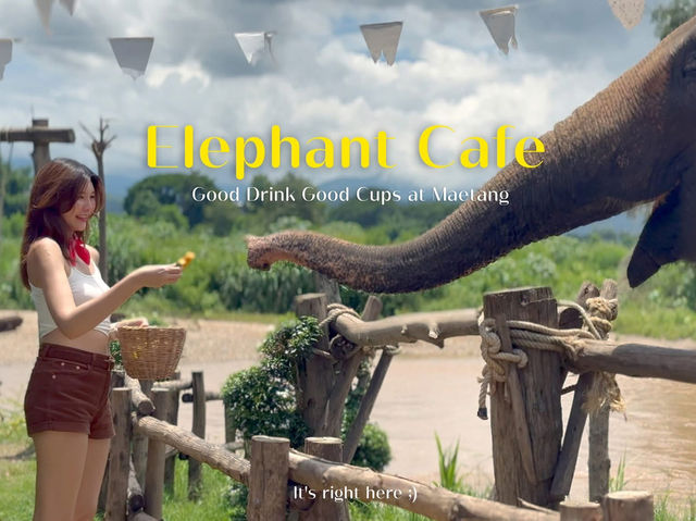 ☕ Good Drink Good Cups - คาเฟ่ช้าง แม่แตง