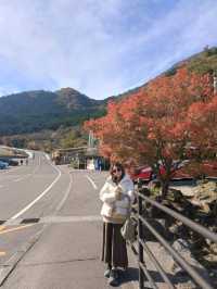 Beppu ropeway ⛰️🍁