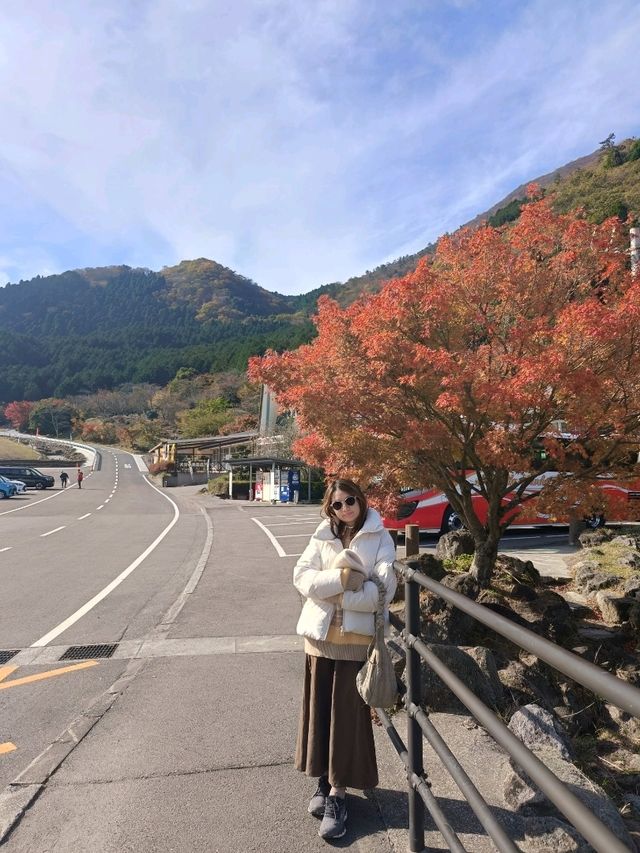 Beppu ropeway ⛰️🍁
