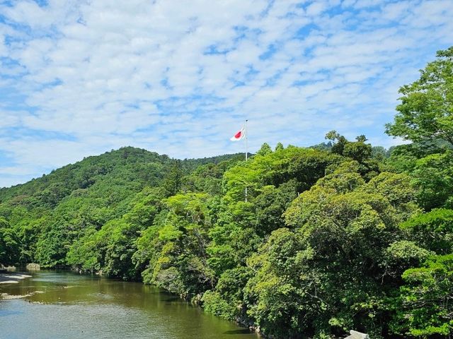 靜謐流轉的神河〔五十鈴川〕，伊勢的靈魂之水⛩️🌊