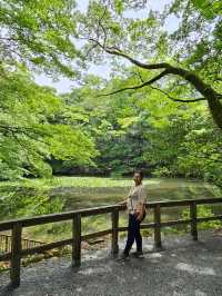 伊勢神宮洗滌心靈之旅，與自然與信仰同行⛩️🌿