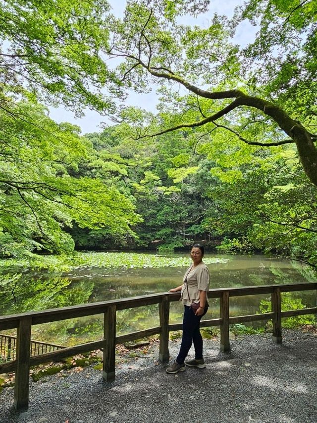 伊勢神宮洗滌心靈之旅，與自然與信仰同行⛩️🌿
