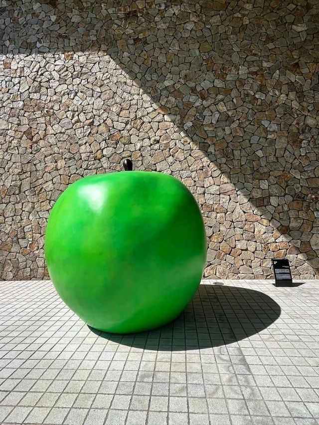 Art, Mountains & Zen Vibes at Museum SAN 