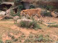 新竹市立動物園：與動物們的悠閒漫步