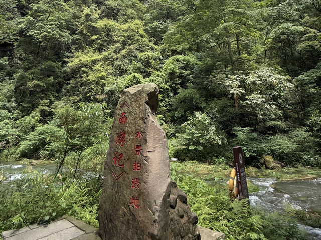 🌍帶著攻略走進阿凡達的世界！張家界黃石寨，讓你感受什麼叫「自然面前，煩惱都變小了」🪨🌿
