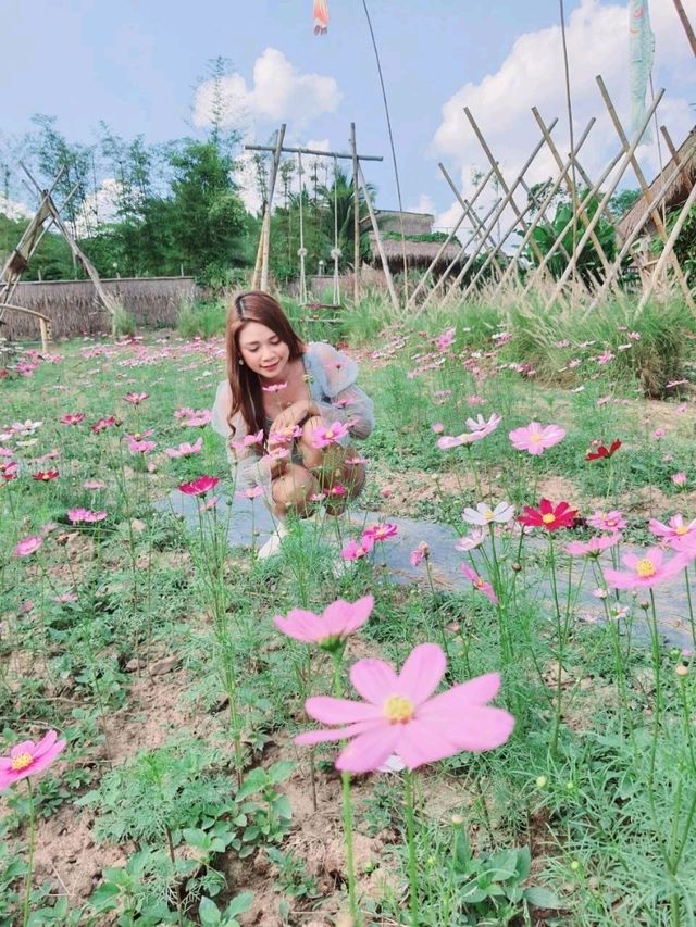 ชิราคาวาโกะ คาเฟ่ สวนผึ้ง