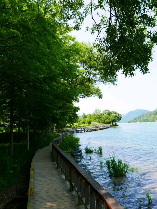 Chill Walks & Lake Vibes