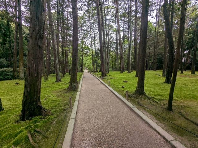 奈良 | 唐招提寺，走訪千年古剎