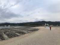 宮崎-鬼之洗衣板