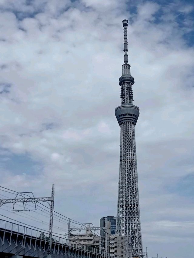 🚶‍♀️เดินชมริม Sumida River