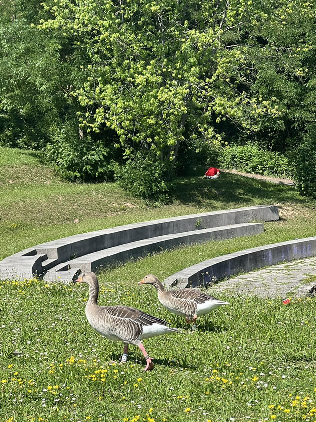 🏞️ Stadtpark Leonberg⛲️