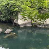 Summer Serenity at Yong Yeonjeong Garden