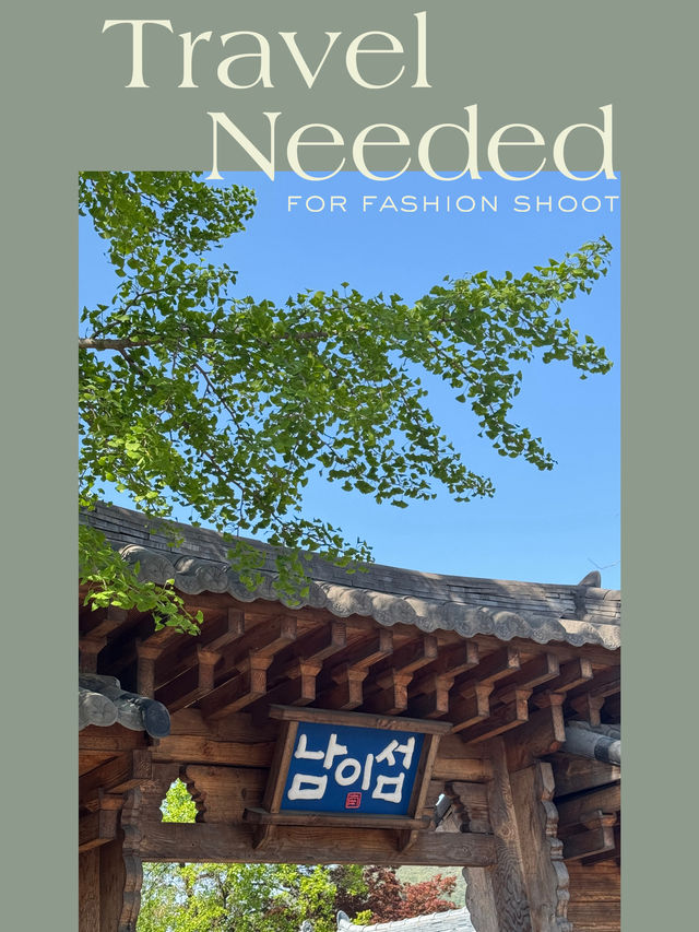 🍂서울 근교 힐링여행, 남이섬 하루 산책코스