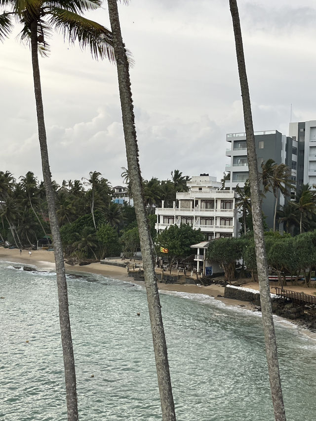 🌴斯里蘭卡最美打卡山丘｜Mirissa Coconut Tree Hill 日出日落全攻略 