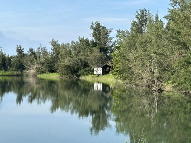 台東森林公園