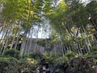 杭州靈隱寺：江南最具獨特禪意兼美學之叢林寺院