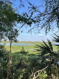 🕊️ Choeung Ek Killing Fields: A Place of Silence, A Plea for Peace ⚖️🌿
