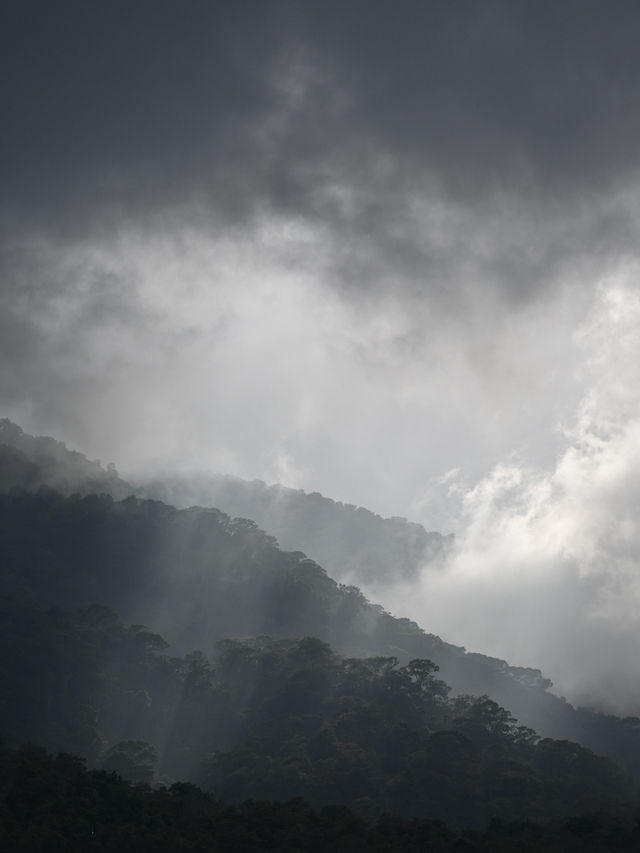 Chiang Mai: The Rose of the North in Full Bloom