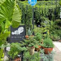 🌿✨ Nengfoto Cafe & Tree | คาเฟ่ลับกลางสวนในท่าบ่อ