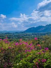 Surat Thani’s Scenic Showstopper