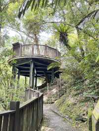 內洞-蝴蝶公園