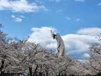 大阪市郊的親子友善景點/萬博紀念公園