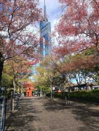 Fukuoka tower
