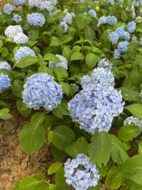 부천 여름 야외 데이트는 바로 여기🌸