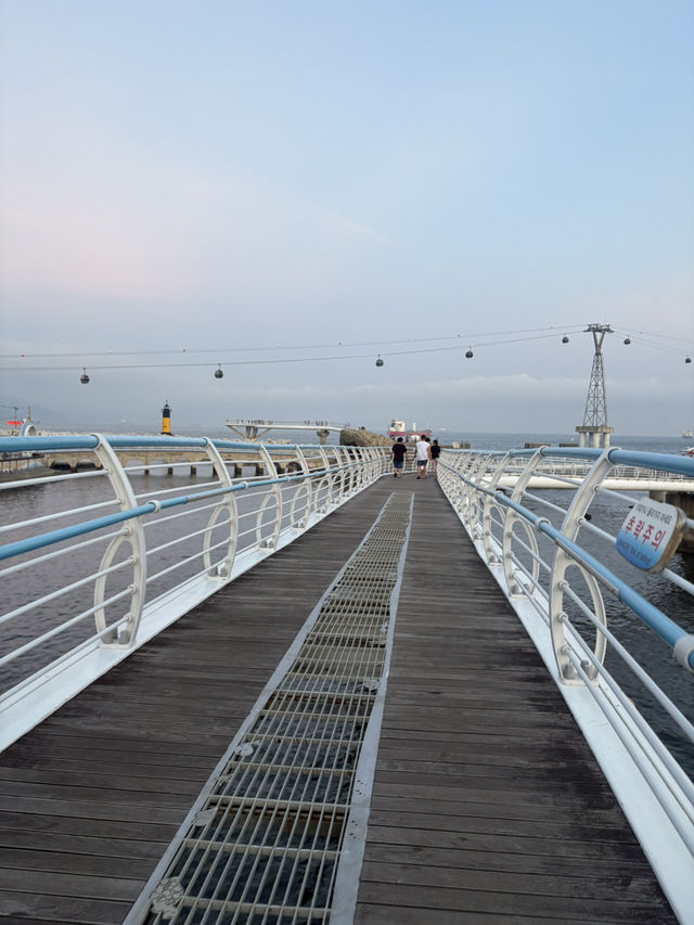 부산 해수욕장 옆의 화려한 산책로 🌊