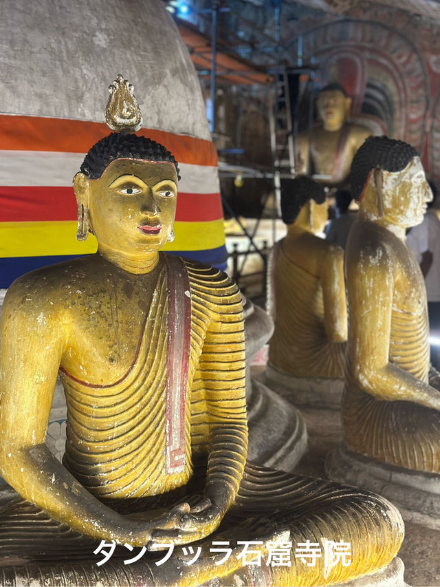 🇱🇰 スリランカ旅行記　VOL.1